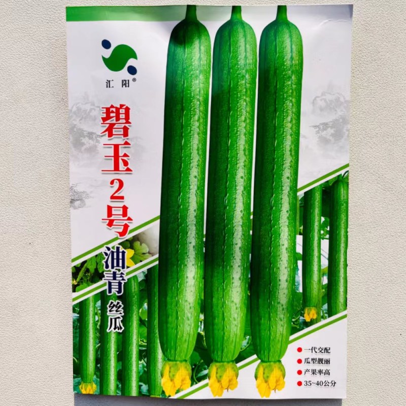 碧玉2号油青丝瓜种子瓜条顺直结果多早熟一代杂交丝瓜种子