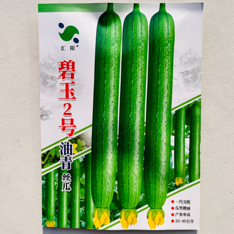 碧玉2号油青丝瓜种子瓜条顺直结果多早熟一代杂交丝瓜种子