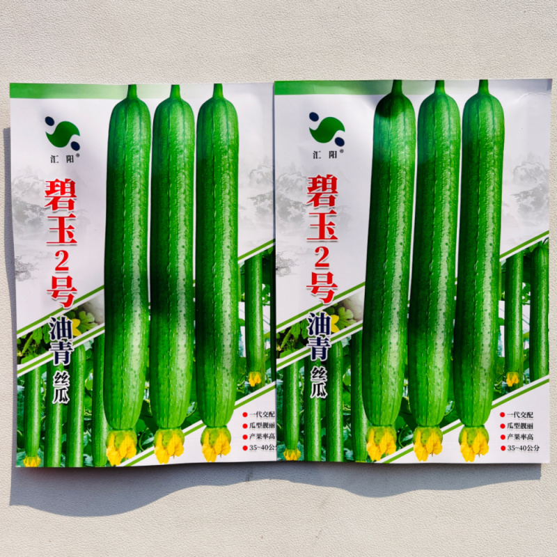 碧玉2号油青丝瓜种子瓜条顺直结果多早熟一代杂交丝瓜种子
