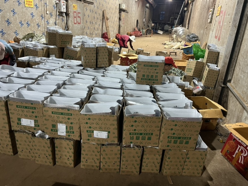 海南子弹头一二级通果切片榨汁整车出口电商代发