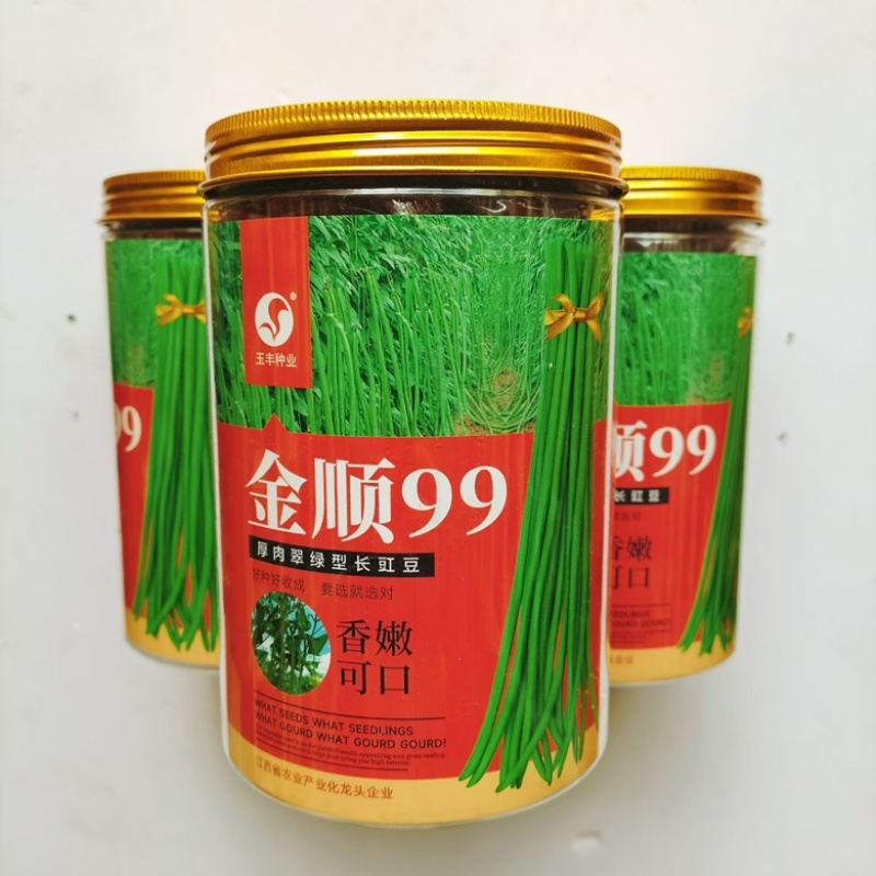 金顺999豇豆种子翠绿色白籽耐热豆角品种种子