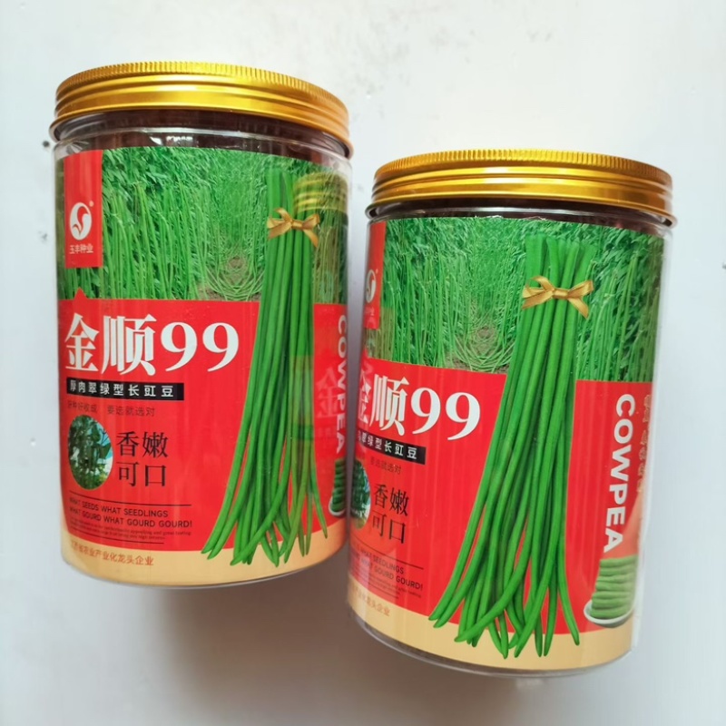 金顺999豇豆种子翠绿色白籽耐热豆角品种种子