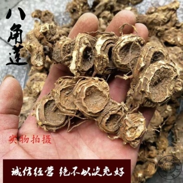 八角莲中药材鬼臼一把金魁江独角全干八角莲