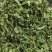 贡菜头贡菜碎贡菜丁高原特产，源头直供，信誉第一，诚信经营