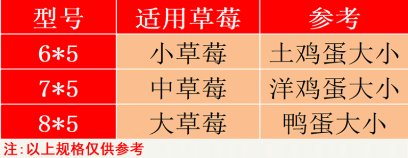 包草莓水果网套苹果橙子猕猴桃泡沫防震网袋包枇杷鸡蛋网兜批发