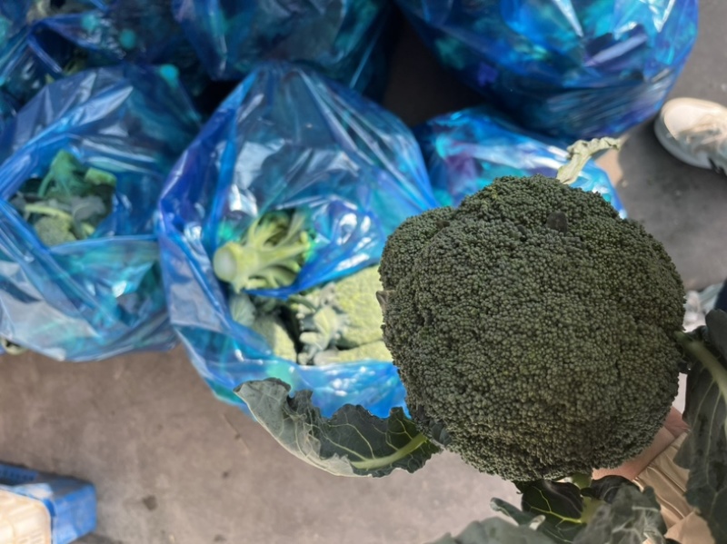 精品西兰花一，二级西兰花