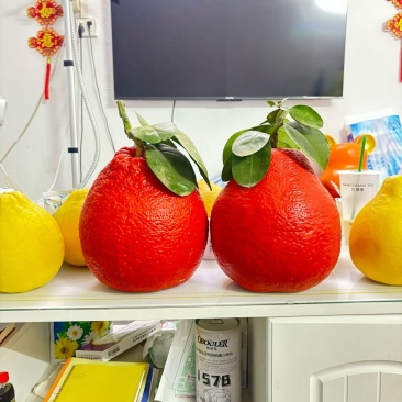 香水红柚