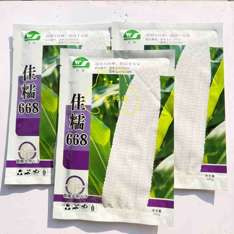 佳糯668甜糯玉米种子杂交鲜食甜加糯玉米种子口感好