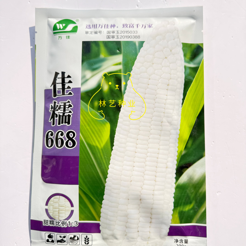 佳糯668甜糯玉米种子杂交鲜食甜加糯玉米种子口感好