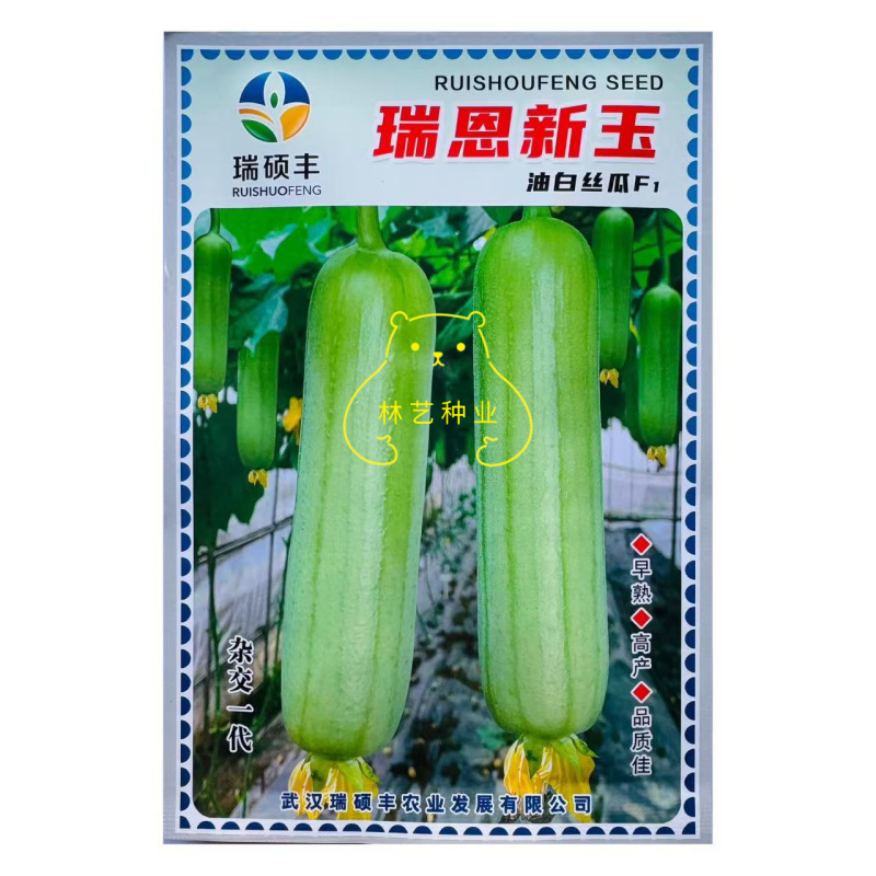 瑞恩新玉丝瓜种子油皮白丝瓜种子味甜中长棒油亮白绿皮丝瓜种