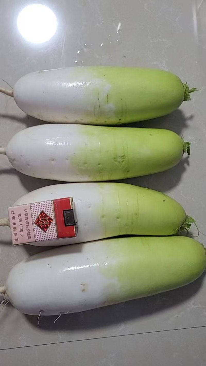水果萝卜，条形好，颜色好，口感好！