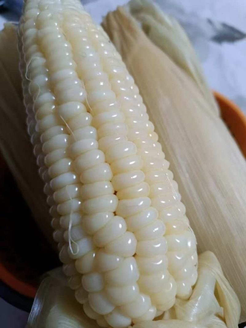 五彩糯玉米白糯，黄糯