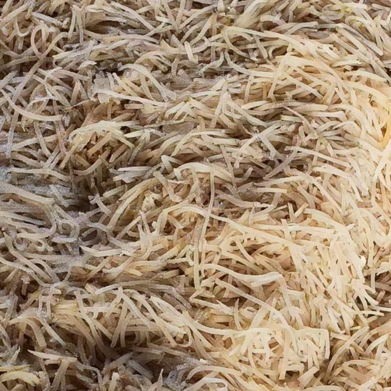 【腌芥菜】常年批发3mm或5mm芥菜疙瘩丝