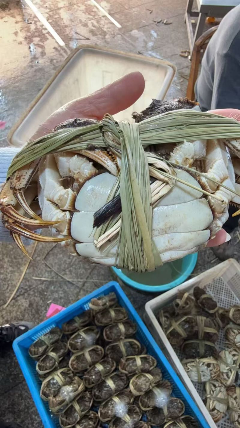 正中高邮湖湖蟹精品全国发货