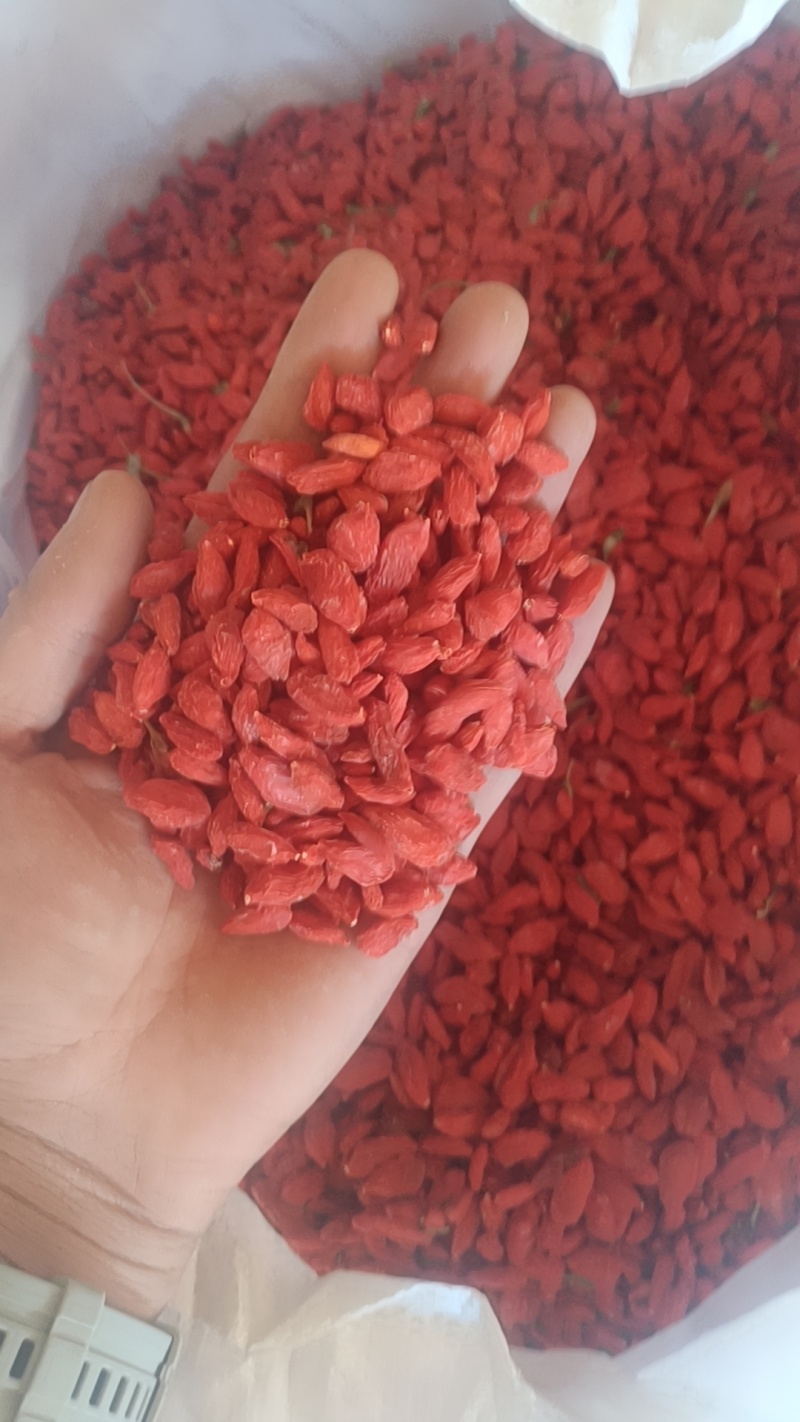 枸杞干特级红枸杞子特级枸杞无硫不然色泡茶泡酒泡水养生