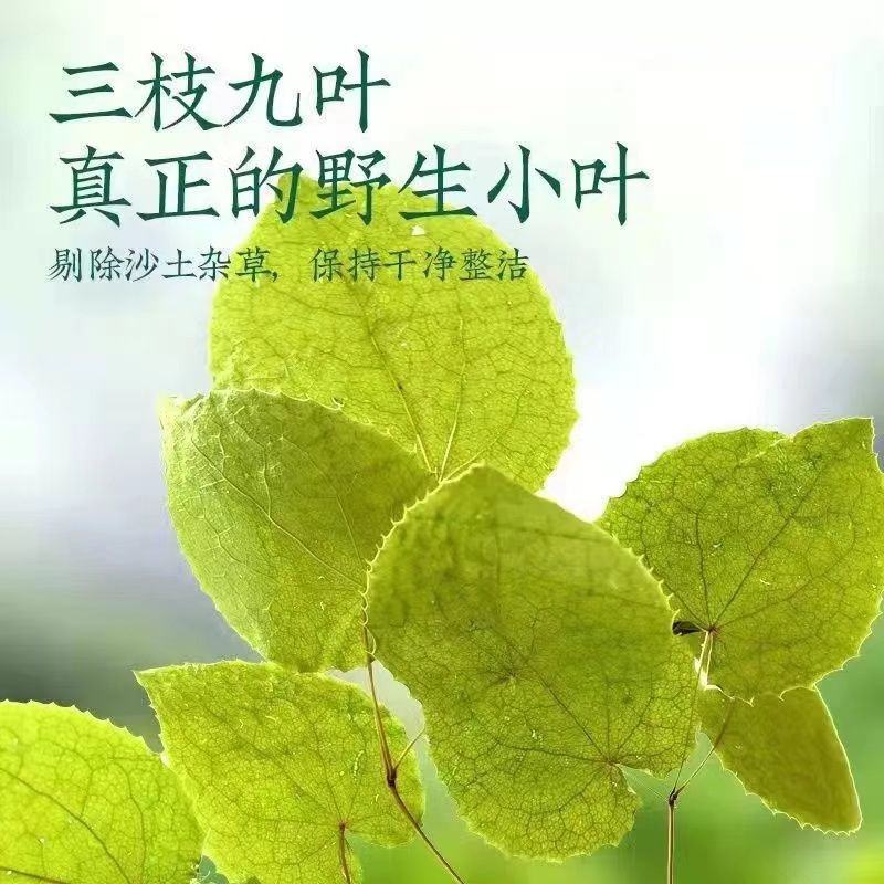 中药材淫羊藿三枝九叶草野生甘肃货泡酒泡茶高含量批发零售
