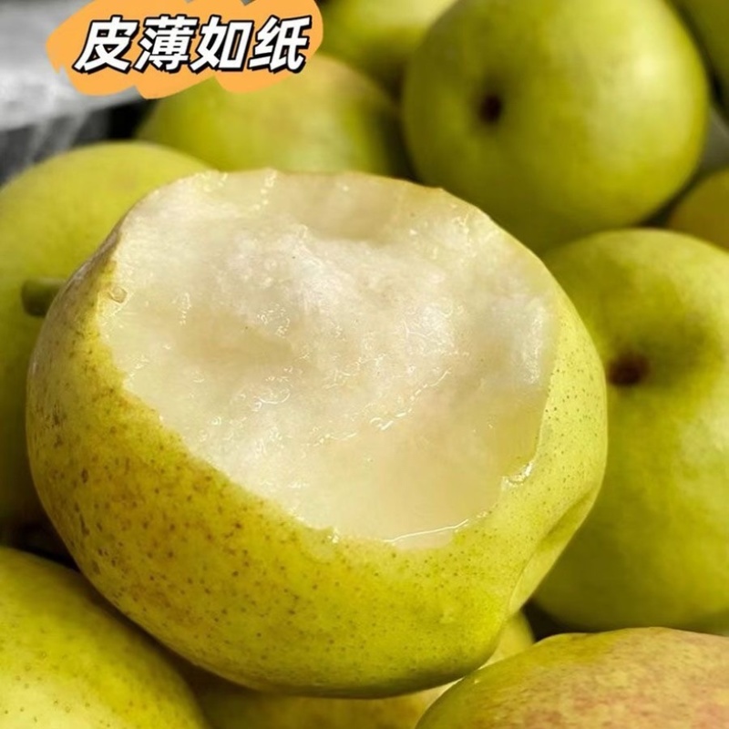 库尔勒香梨/产区直发/大量现货/欢迎选购