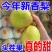 库尔勒香梨/产区直发/大量现货/欢迎选购