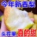 库尔勒香梨/产区直发/大量现货/欢迎选购