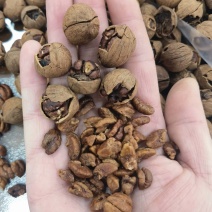 纯野生山核桃奶香味椒盐味大量现货