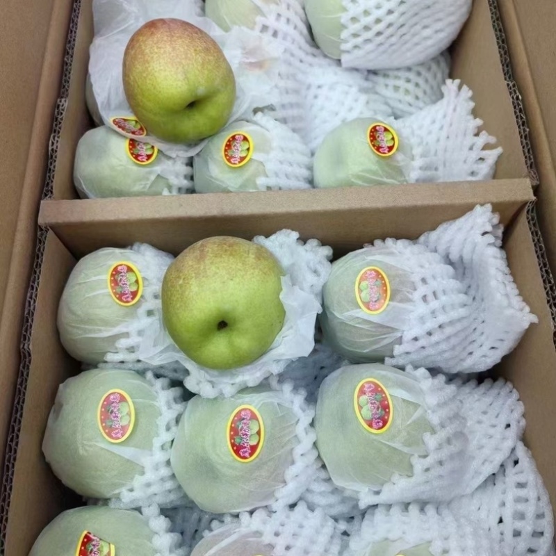 库尔勒香梨/厂家直发/礼盒装/支持订购/大量有货