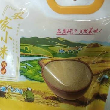 河南小米，大量上市，质量保证，常年供应，欢迎咨询
