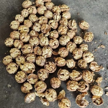 《云南核桃》薄皮核桃/产地货源/价格便宜/欢迎来电采购