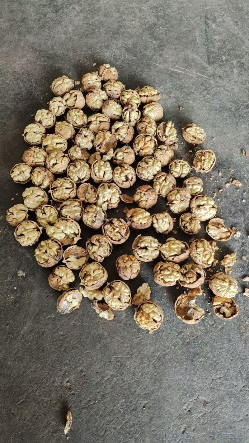 《云南核桃》薄皮核桃/产地货源/价格便宜/欢迎来电采购