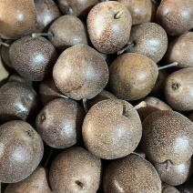 精品尖把梨酸甜口冻梨货源充足诚信经营欢迎