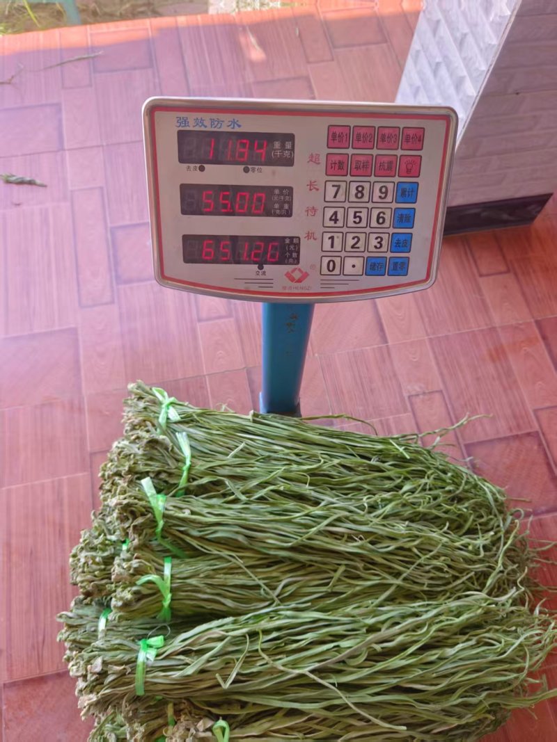 《贡菜干》云南精品贡菜干/产地直发/价格公道/欢迎来电