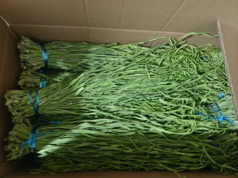 《贡菜干》云南精品贡菜干/产地直发/价格公道/欢迎来电