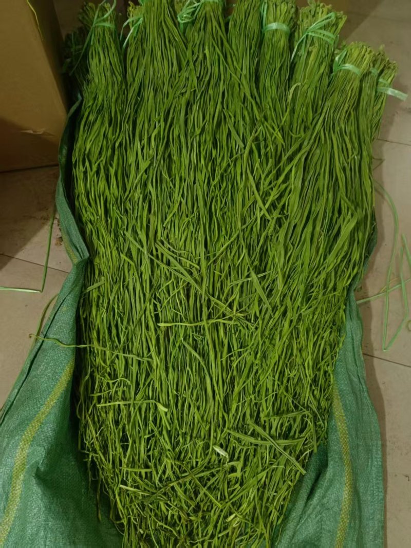 《贡菜干》云南精品贡菜干/产地直发/价格公道/欢迎来电