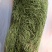 《贡菜干》云南精品贡菜干/产地直发/价格公道/欢迎来电