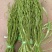 《贡菜干》云南精品贡菜干/产地直发/价格公道/欢迎来电