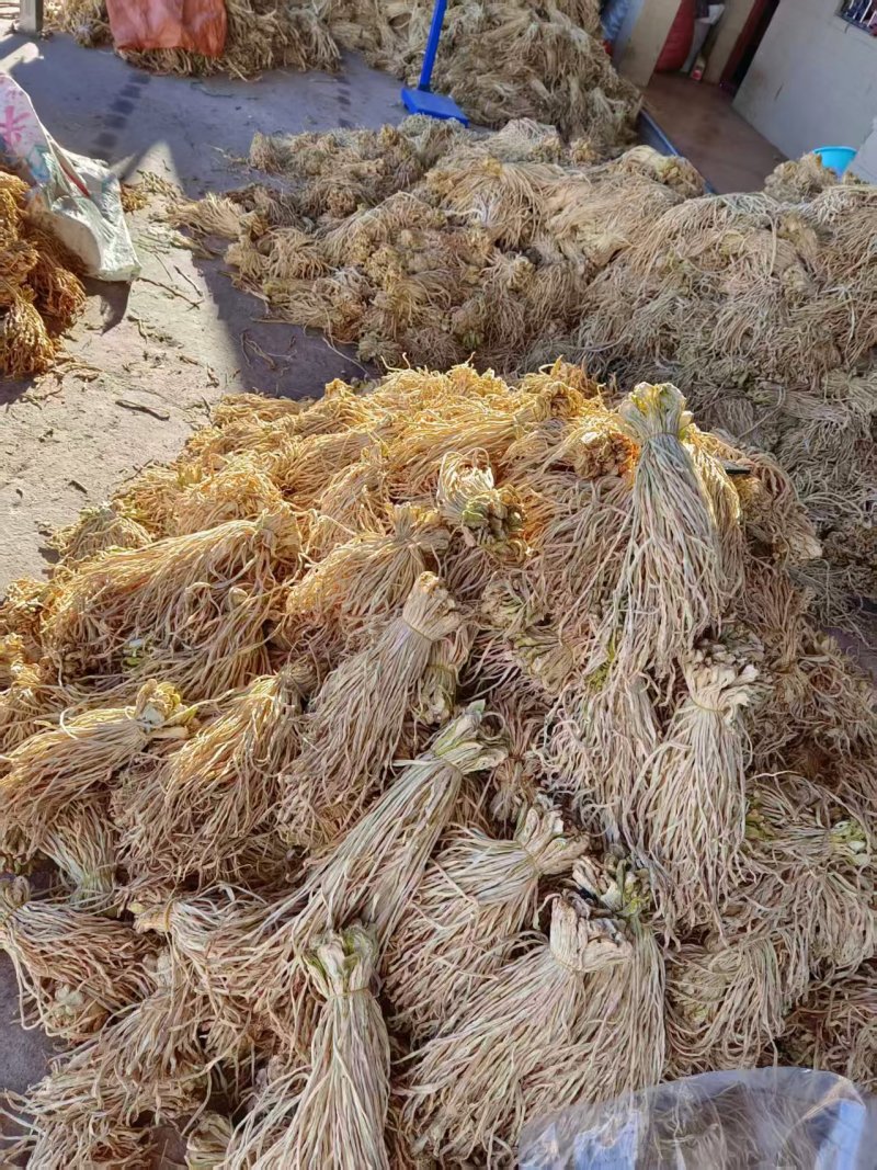 萝卜条/云南产地直发/欢迎来电咨询，大量有货