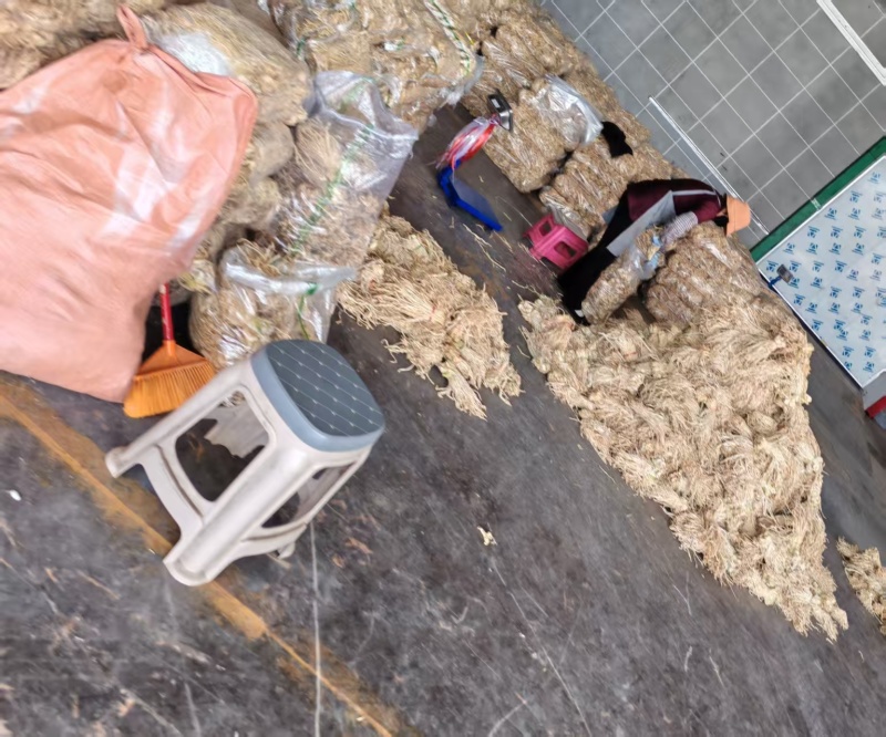 萝卜条/云南产地直发/欢迎来电咨询，大量有货