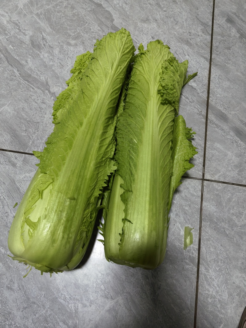 邵菜品质保证量大从优