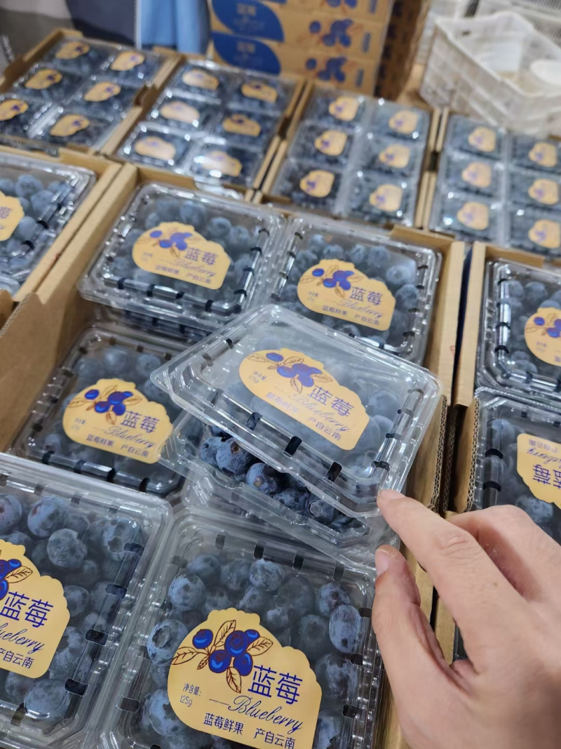 花香蓝莓L25Tf6L11优瑞卡品质保证！