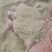 烘干豆渣大豆豆渣豆腐渣烘干豆渣养殖用料无霉菌水分8个