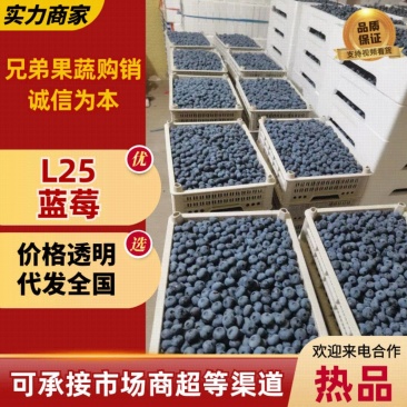 花香蓝莓L25f6优瑞卡T纯甜无酸全国发货