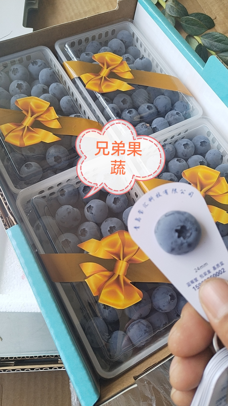 花香蓝莓L25f6优瑞卡T纯甜无酸全国发货