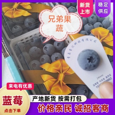 花香蓝莓L25f6优瑞卡T纯甜无酸全国发货