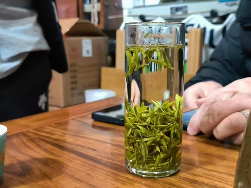 明前特级【出口芽头】绿茶全年不间断！【属于特级毛峰黄芽】