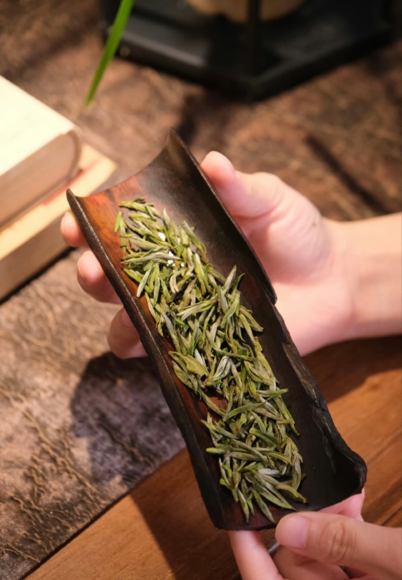 明前特级【出口芽头】绿茶全年不间断！【属于特级毛峰黄芽】
