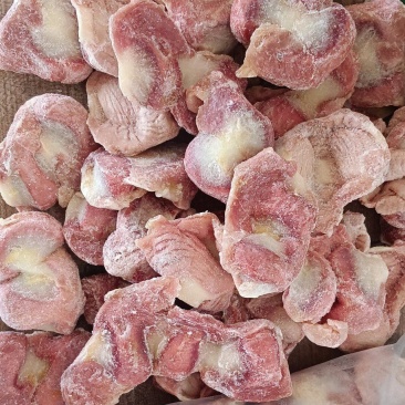 白毛种母鸡鸡胗