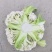 四川白面青梗松花菜大量接单品质保证诚信合作欢迎来电
