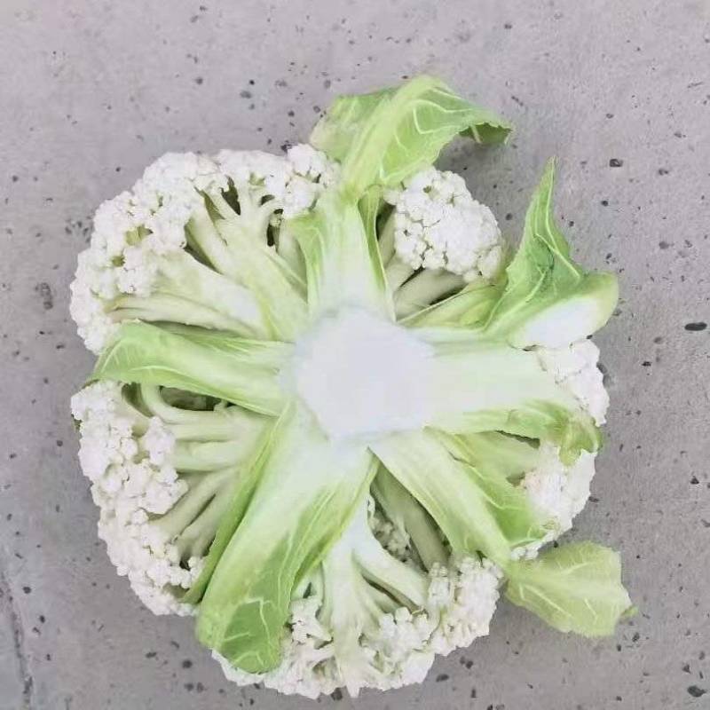 四川白面青梗松花菜大量接单品质保证诚信合作欢迎来电