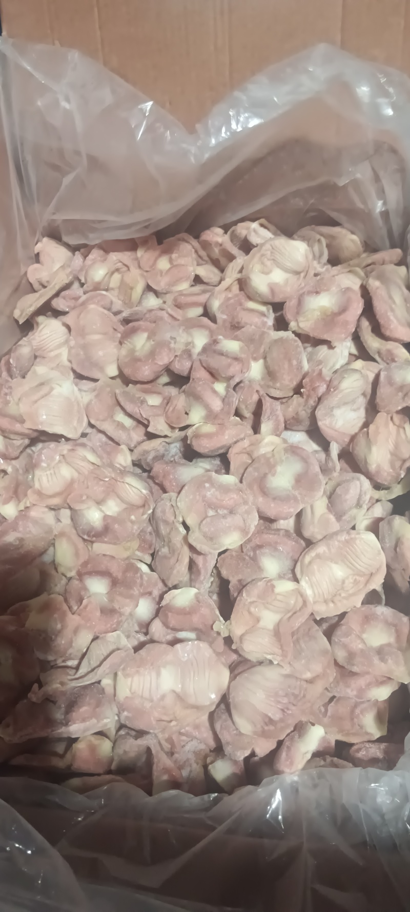 白毛种母鸡鸡胗