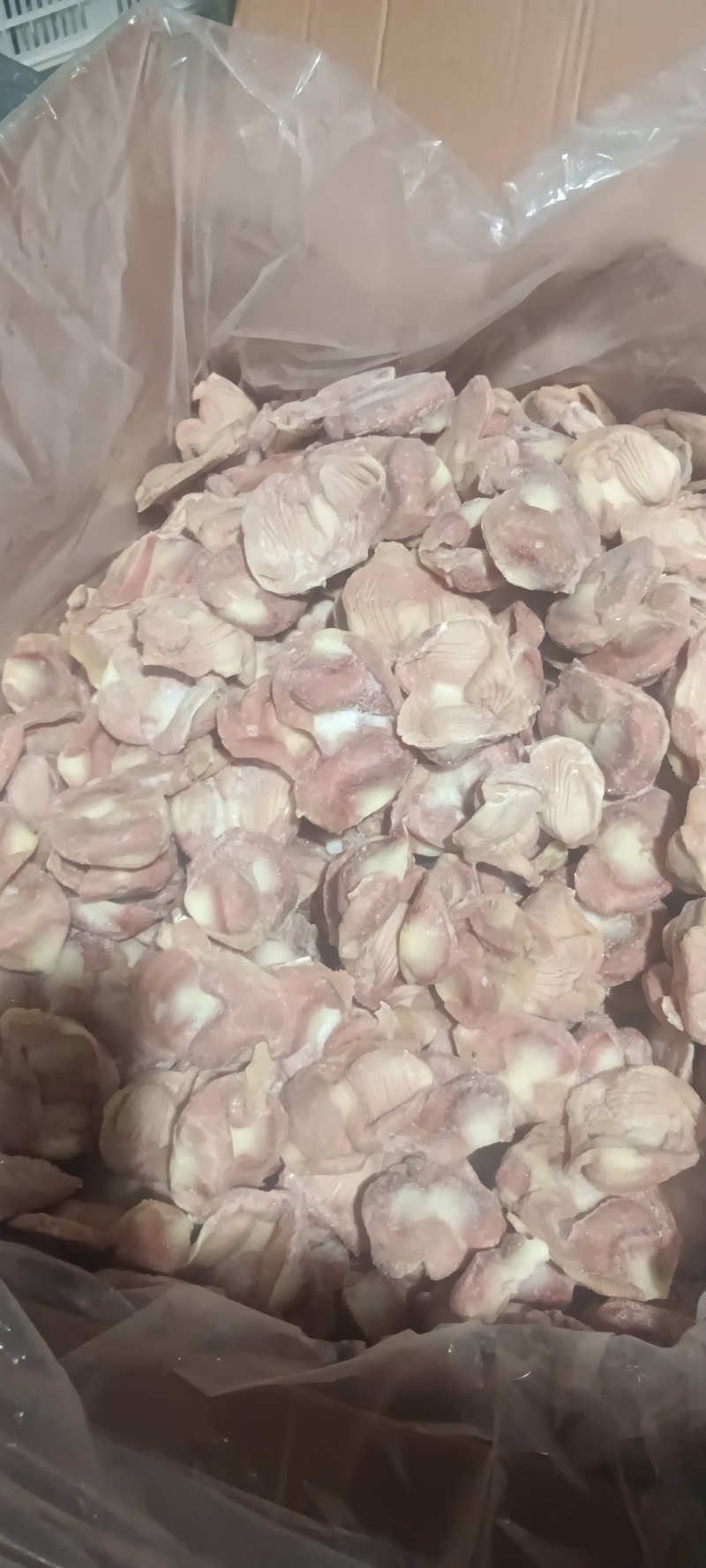 白毛种母鸡鸡胗