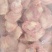 白毛种母鸡鸡胗